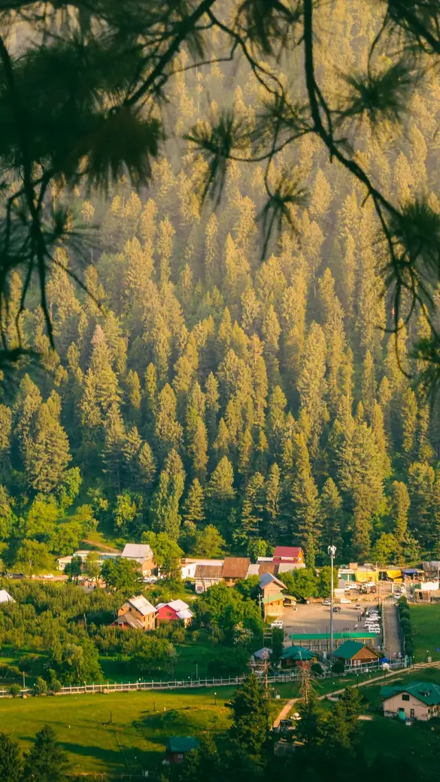 Alpine meadows at Khajjiar