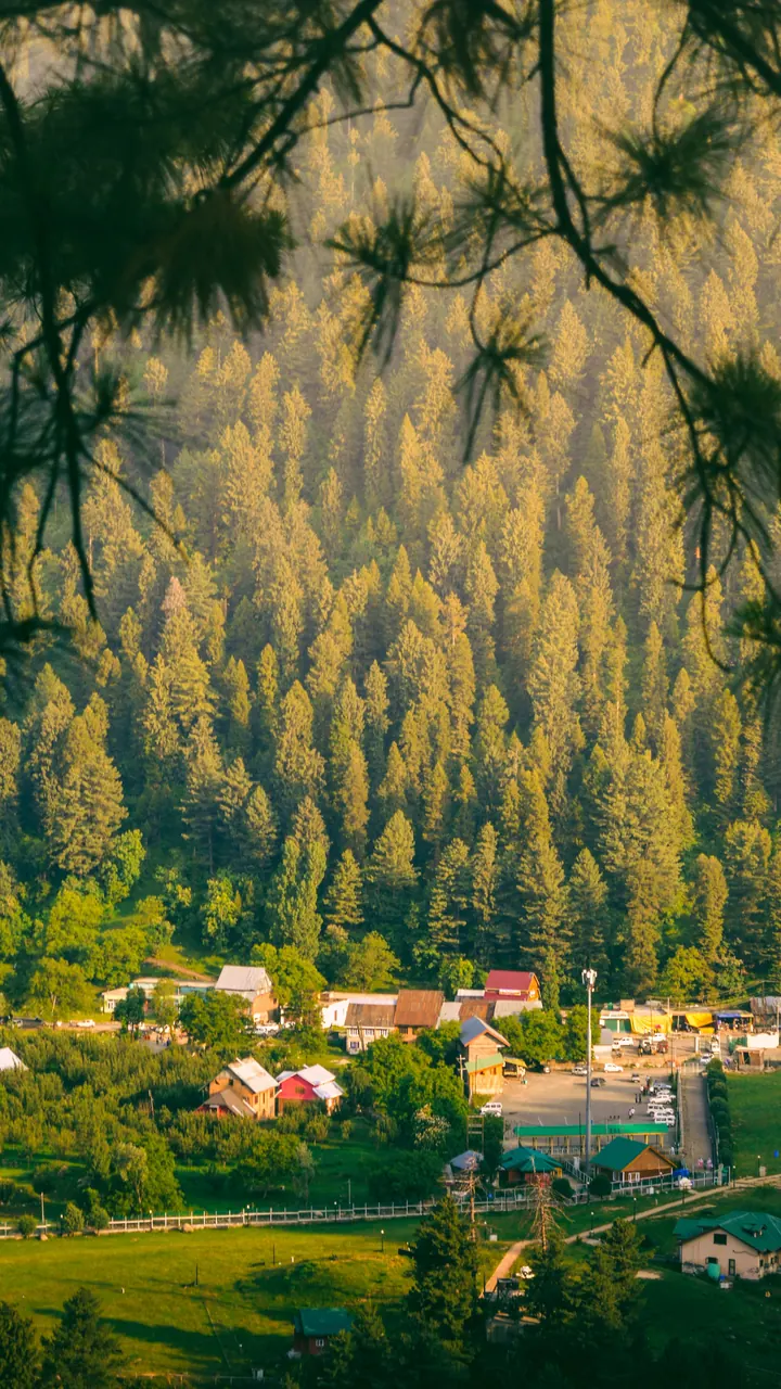 Alpine meadows at Khajjiar, Himachal Pradesh